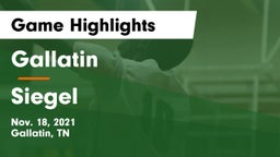 Gallatin  vs Siegel  Game Highlights - Nov. 18, 2021