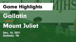 Gallatin  vs Mount Juliet  Game Highlights - Dec. 14, 2021