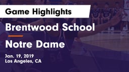 Brentwood School vs Notre Dame  Game Highlights - Jan. 19, 2019