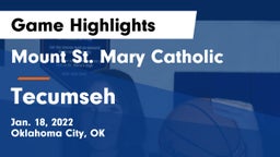 Mount St. Mary Catholic  vs Tecumseh  Game Highlights - Jan. 18, 2022