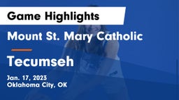 Mount St. Mary Catholic  vs Tecumseh  Game Highlights - Jan. 17, 2023