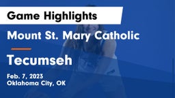 Mount St. Mary Catholic  vs Tecumseh  Game Highlights - Feb. 7, 2023