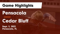 Pensacola  vs Cedar Bluff Game Highlights - Sept. 3, 2022