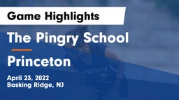 The Pingry School vs Princeton Game Highlights - April 23, 2022
