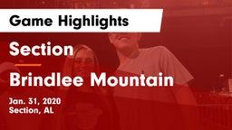 Section  vs Brindlee Mountain  Game Highlights - Jan. 31, 2020