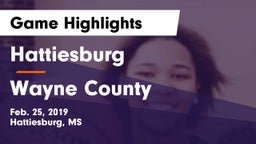 Hattiesburg  vs Wayne County  Game Highlights - Feb. 25, 2019