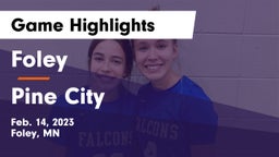 Foley  vs Pine City  Game Highlights - Feb. 14, 2023