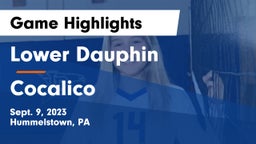 Lower Dauphin  vs Cocalico  Game Highlights - Sept. 9, 2023
