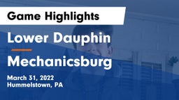 Lower Dauphin  vs Mechanicsburg  Game Highlights - March 31, 2022