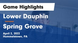 Lower Dauphin  vs Spring Grove Game Highlights - April 2, 2022
