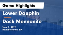 Lower Dauphin  vs Dock Mennonite  Game Highlights - June 7, 2022