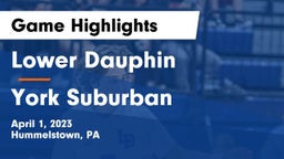 Lower Dauphin  vs York Suburban Game Highlights - April 1, 2023