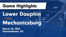 Lower Dauphin  vs Mechanicsburg  Game Highlights - March 28, 2024