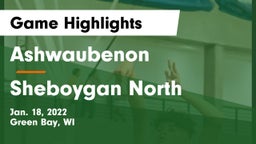 Ashwaubenon  vs Sheboygan North  Game Highlights - Jan. 18, 2022