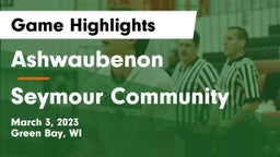 Ashwaubenon  vs Seymour Community  Game Highlights - March 3, 2023