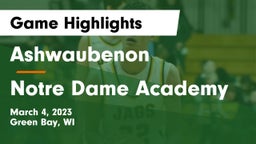 Ashwaubenon  vs Notre Dame Academy Game Highlights - March 4, 2023