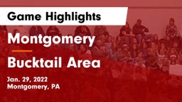 Montgomery  vs Bucktail Area  Game Highlights - Jan. 29, 2022