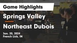 Springs Valley  vs Northeast Dubois  Game Highlights - Jan. 20, 2024
