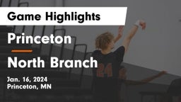 Princeton  vs North Branch  Game Highlights - Jan. 16, 2024