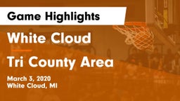 White Cloud  vs Tri County Area  Game Highlights - March 3, 2020