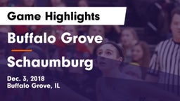 Buffalo Grove  vs Schaumburg  Game Highlights - Dec. 3, 2018