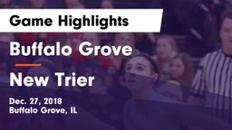 Buffalo Grove  vs New Trier  Game Highlights - Dec. 27, 2018