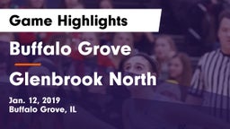 Buffalo Grove  vs Glenbrook North  Game Highlights - Jan. 12, 2019