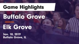 Buffalo Grove  vs Elk Grove  Game Highlights - Jan. 18, 2019