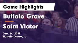 Buffalo Grove  vs Saint Viator  Game Highlights - Jan. 26, 2019