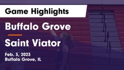 Buffalo Grove  vs Saint Viator  Game Highlights - Feb. 3, 2023