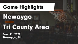 Newaygo  vs Tri County Area  Game Highlights - Jan. 11, 2022
