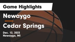 Newaygo  vs Cedar Springs  Game Highlights - Dec. 12, 2023