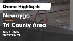 Newaygo  vs Tri County Area  Game Highlights - Jan. 11, 2022