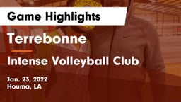 Terrebonne  vs Intense Volleyball Club Game Highlights - Jan. 23, 2022