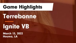Terrebonne  vs Ignite VB Game Highlights - March 13, 2022
