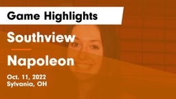 Southview  vs Napoleon Game Highlights - Oct. 11, 2022