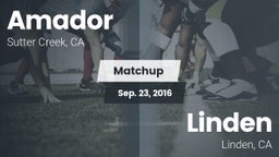 Matchup: Amador  vs. Linden  2016