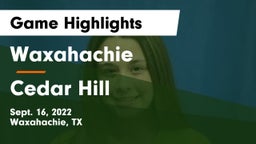 Waxahachie  vs Cedar Hill  Game Highlights - Sept. 16, 2022