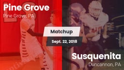 Matchup: Pine Grove High vs. Susquenita  2018