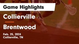 Collierville  vs Brentwood  Game Highlights - Feb. 25, 2024