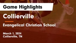 Collierville  vs Evangelical Christian School Game Highlights - March 1, 2024
