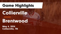 Collierville  vs Brentwood  Game Highlights - May 4, 2024