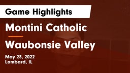 Montini Catholic  vs Waubonsie Valley  Game Highlights - May 23, 2022