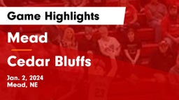 Mead  vs Cedar Bluffs  Game Highlights - Jan. 2, 2024