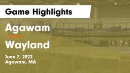 Agawam  vs Wayland  Game Highlights - June 7, 2022