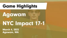 Agawam  vs NYC Impact 17-1 Game Highlights - March 4, 2023