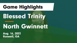 Blessed Trinity  vs North Gwinnett  Game Highlights - Aug. 16, 2022