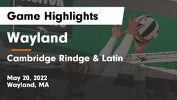 Wayland  vs Cambridge Rindge & Latin  Game Highlights - May 20, 2022