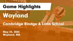 Wayland  vs Cambridge Rindge & Latin School Game Highlights - May 24, 2024
