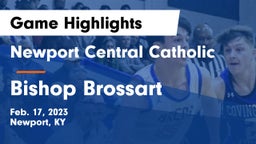 Newport Central Catholic  vs Bishop Brossart  Game Highlights - Feb. 17, 2023